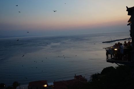 18341812_773163022860141_6178437495049356913_n